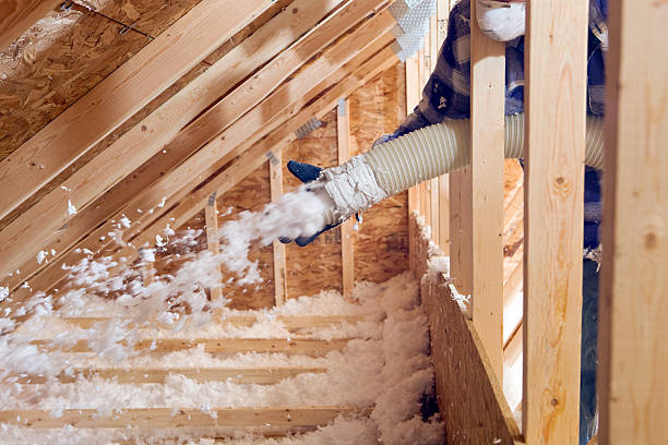 Best Attic Insulation Installation  in Lake Isabella, MI